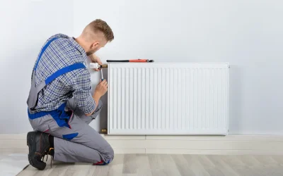 Keep Your Boise Rental Pristine: Emergency & Preventive Care