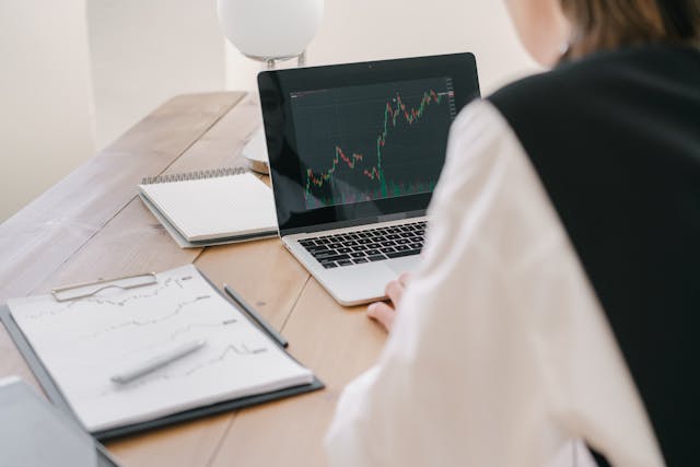 A Person Looking at a Graph on a Laptop